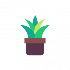 cropped aloe vera.png